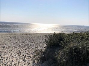 Beach - 50.2.S Waterkant - Modern, high-quality vacation apartment, sauna, large balcony, (Wangerland)