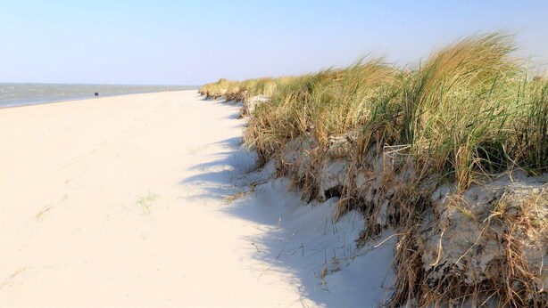 Ein Sandstrand mit Dünen und einem klaren Himmel.