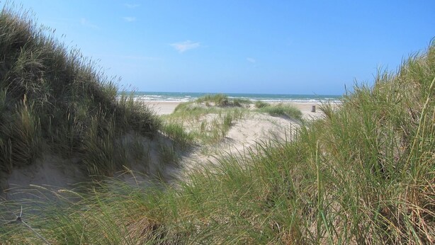 A beach with dunes and a clear sky. - 50.3.N Nordkoje - Modern, high-quality vacation apartment, sauna, large balcony, (Wangerland)