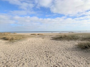 Uma praia com areia, grama e céu claro.