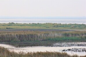 Miscellaneous - 50.4.S Waterkant - Modern, high-quality vacation apartment, sauna, large balcony, (Wangerland)