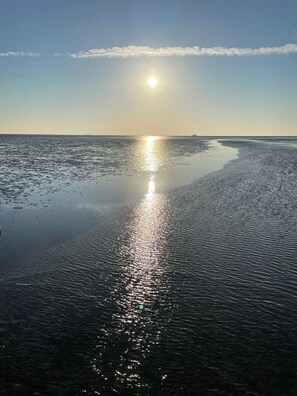 Beach - 49.4.M Ankerplatz - Modern, high-quality vacation apartment, sauna, large balcony, (Wangerland)