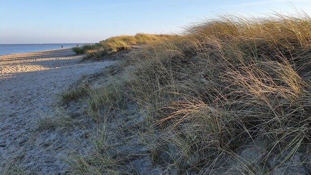 Une plage de sable avec des dunes et un ciel dégagé.