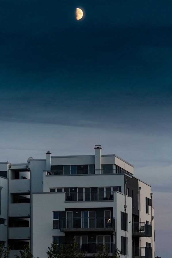 Unclassified image, 1 of 18, button