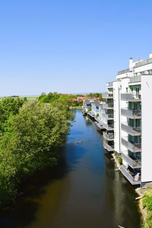 Immagine non classificata, 5 di 15, pulsante