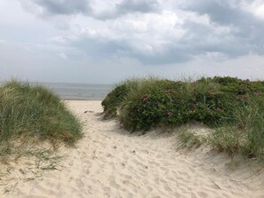 Playa