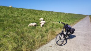 Uklassifisert bilde, 5 av 28, knapp