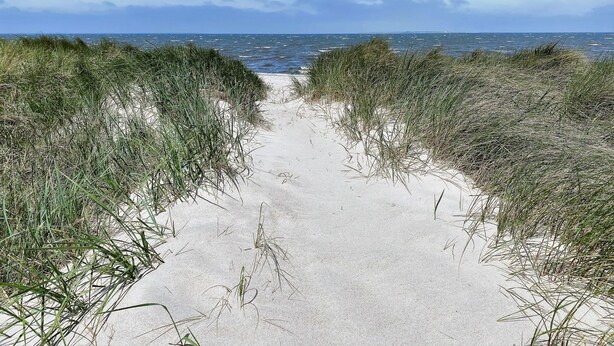 A sandy beach path flanked by tall grass leading to the ocean. - 47.3.M Seestern - Well-kept apartment with sea view, infrared cabin, large balcony (Wangerland)