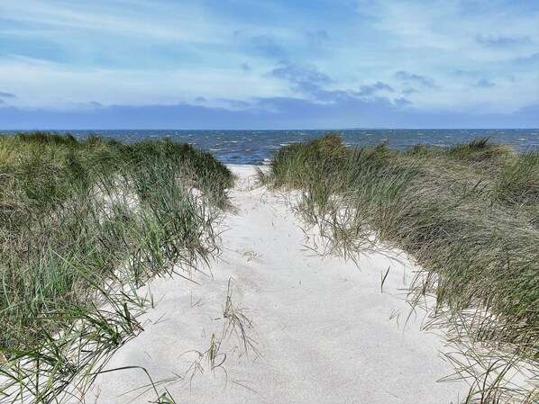 Beach - 47.3.M Seestern - Sunny apartment with sea view, infrared cabin, large balcony (Wangerland)