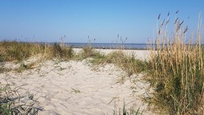 Une plage de sable fin, bordée d’herbes hautes et surplombée d’un ciel bleu clair.
