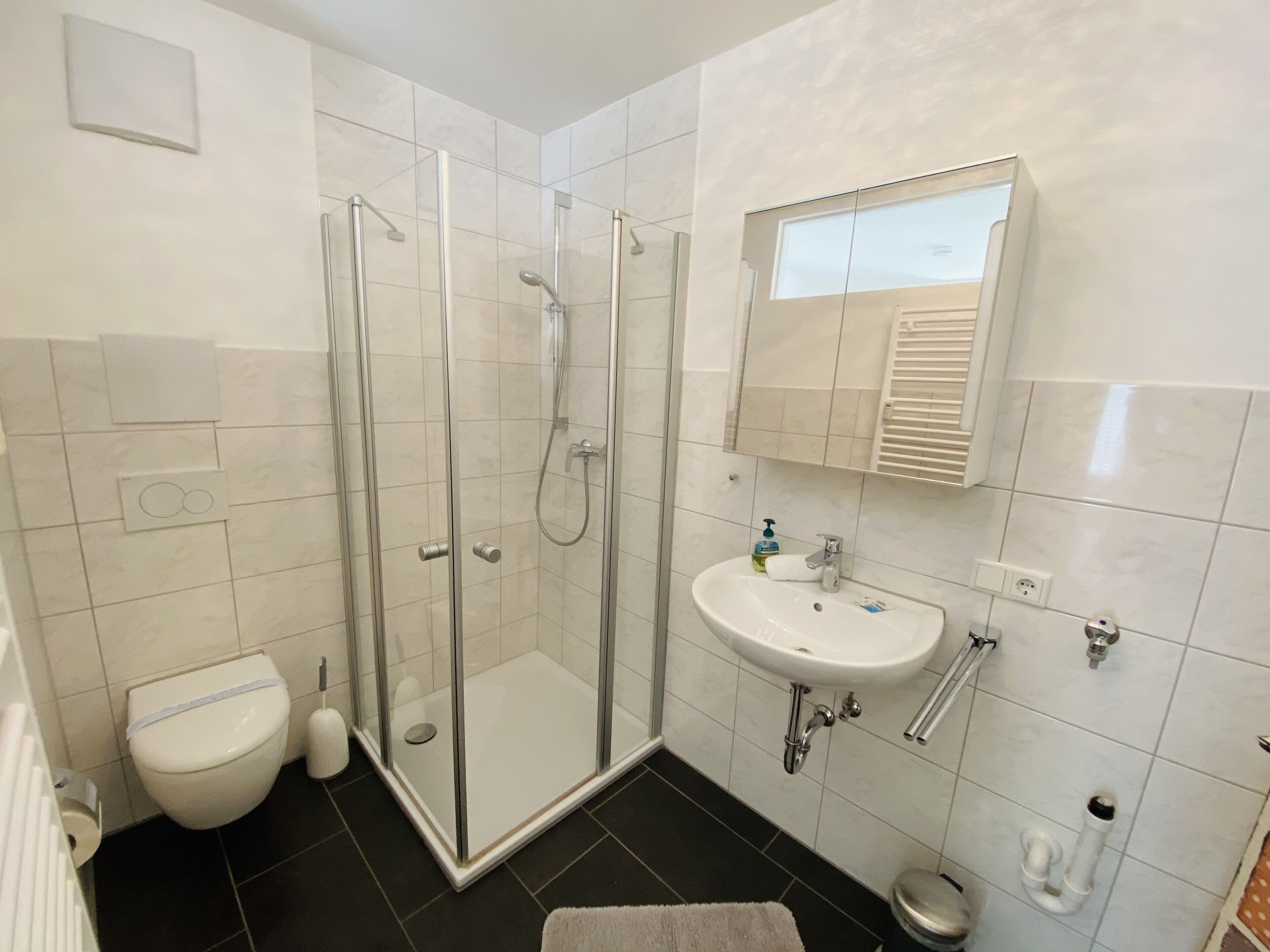 Shower, hair dryer