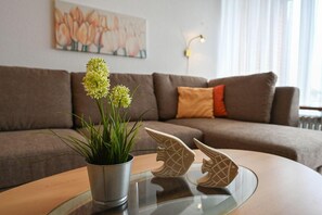 TV, DVD player, table tennis, stereo