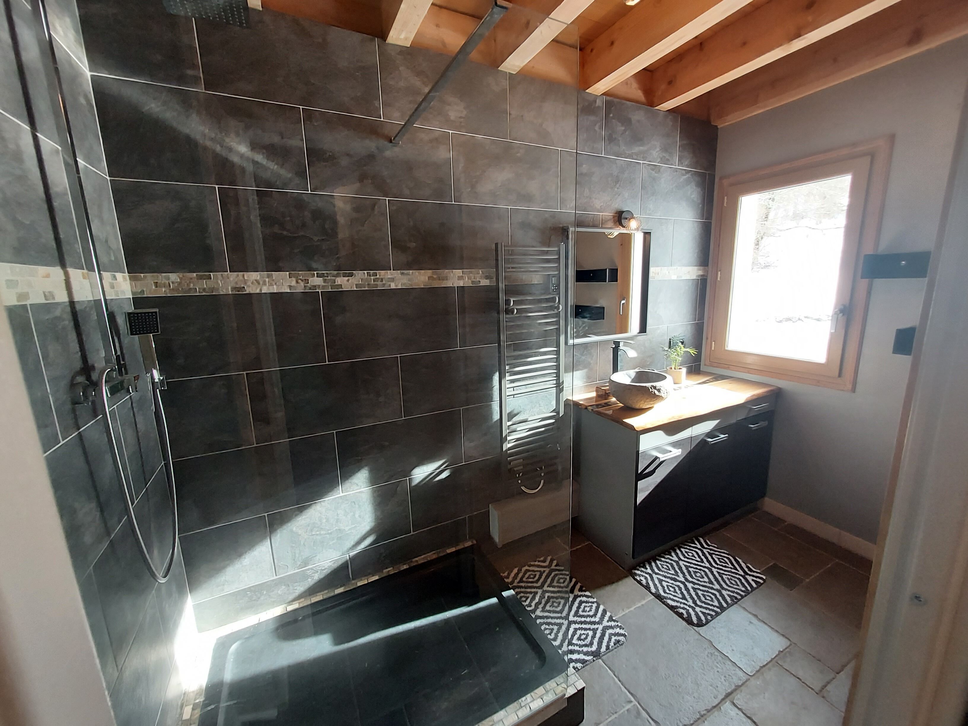 Shower, hair dryer