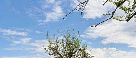 Área da propriedade