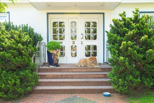 Un perro descansando sobre los escalones frente a una casa con puerta blanca y detalles azules.
