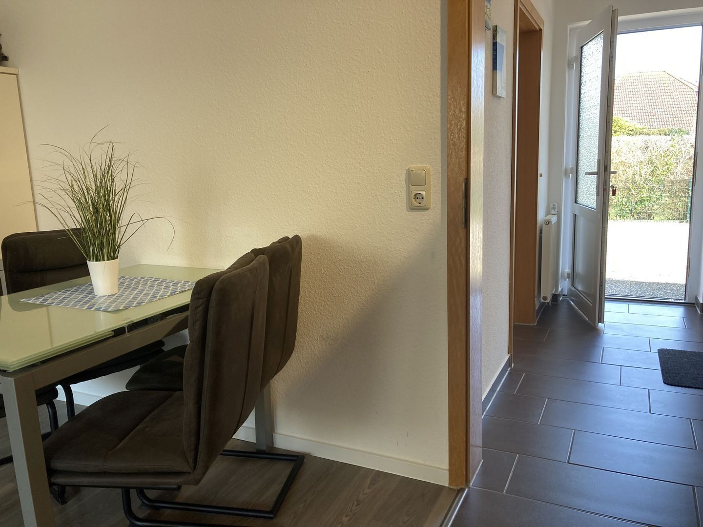 Un coin repas avec une table en verre, une plante en pot et une chaise marron.