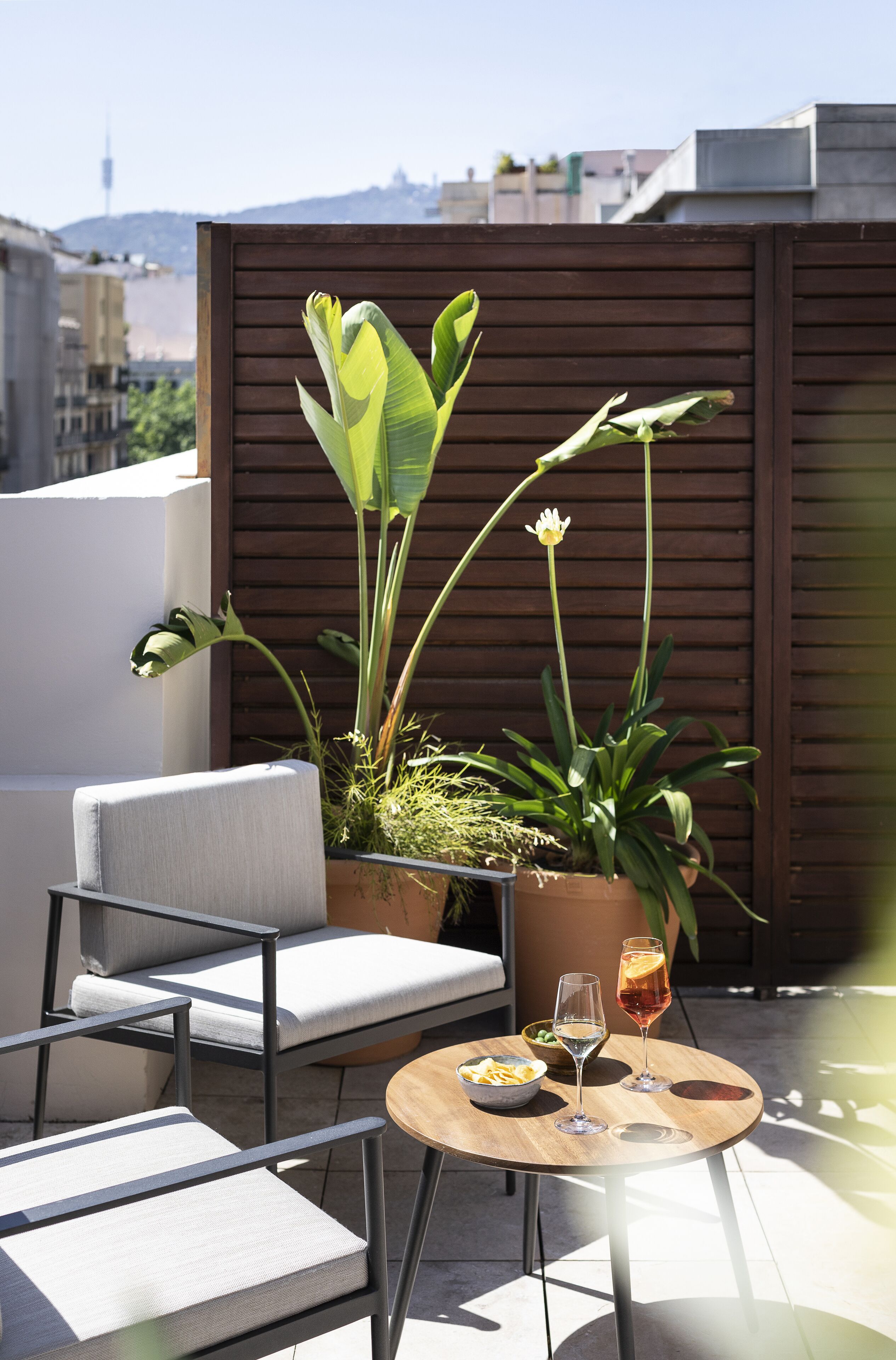 A rooftop terrace with a seating area, potted plants, and a table with drinks.