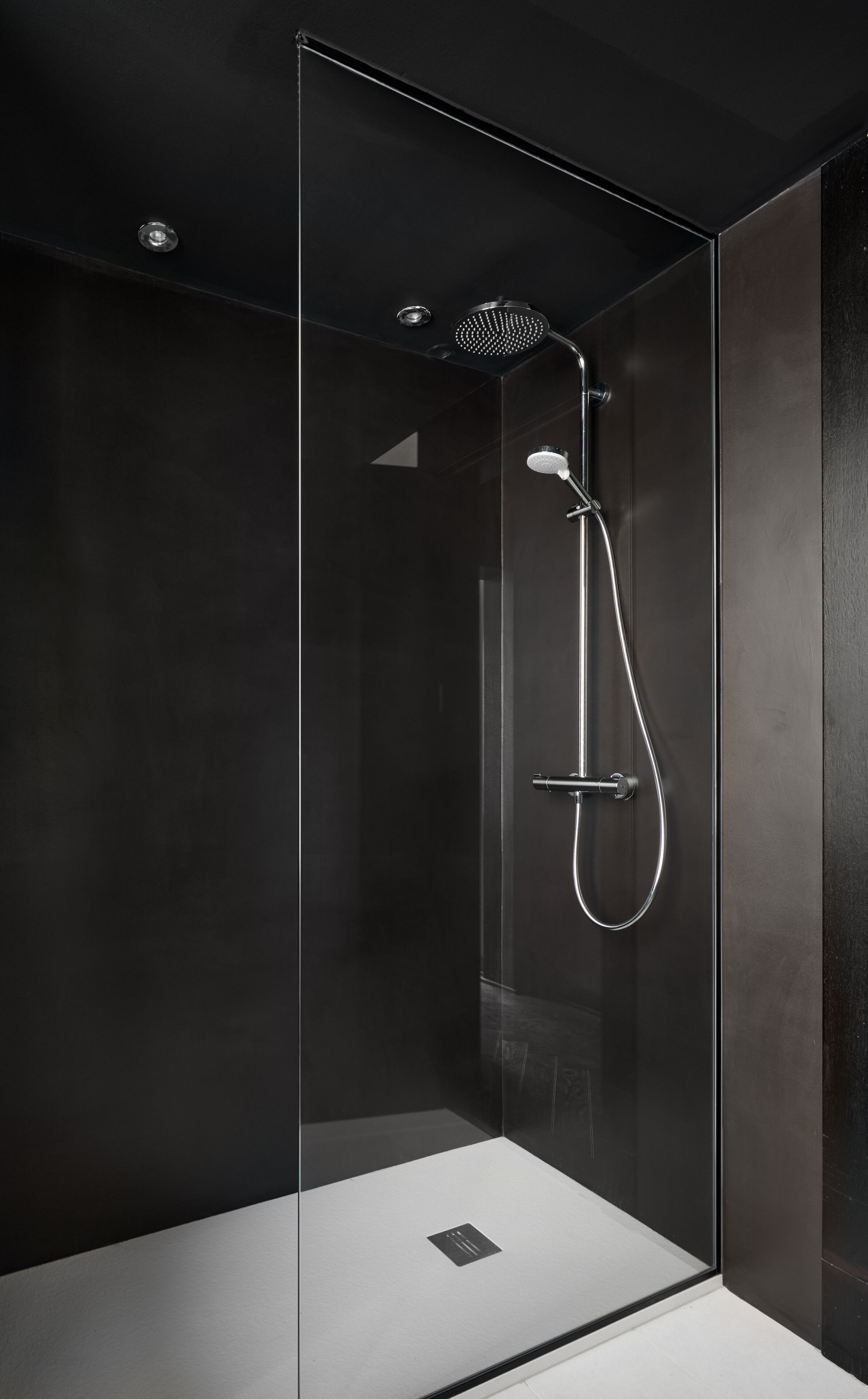 Une douche moderne dotée d’un pare-douche en verre, d’un pommeau de douche à main et d’un pommeau de douche à pluie fixé au mur.