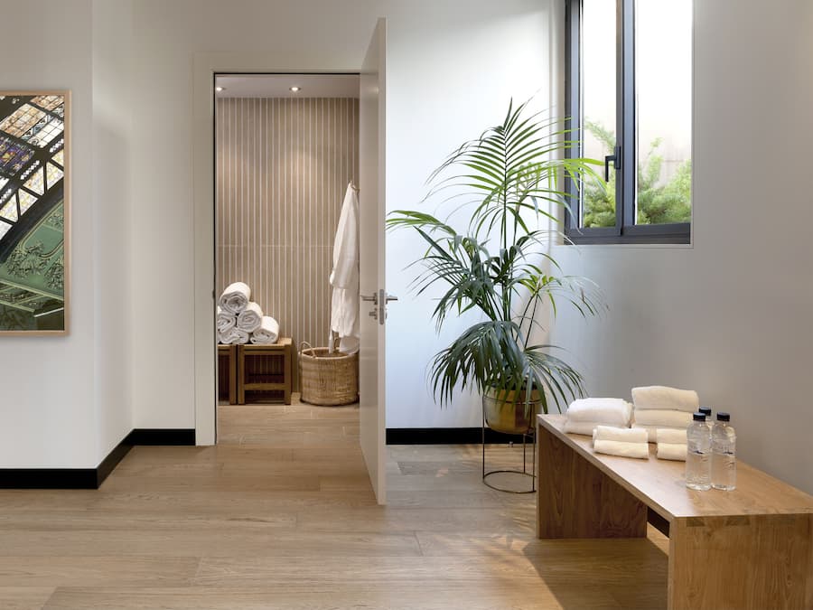 Une salle de bain moderne avec un banc en bois, une grande plante en pot et une vue sur une pièce dont le sol est carrelé et qui possède une fenêtre.