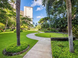A curved concrete pathway in a well-maintained garden with palm trees and a building in the background.