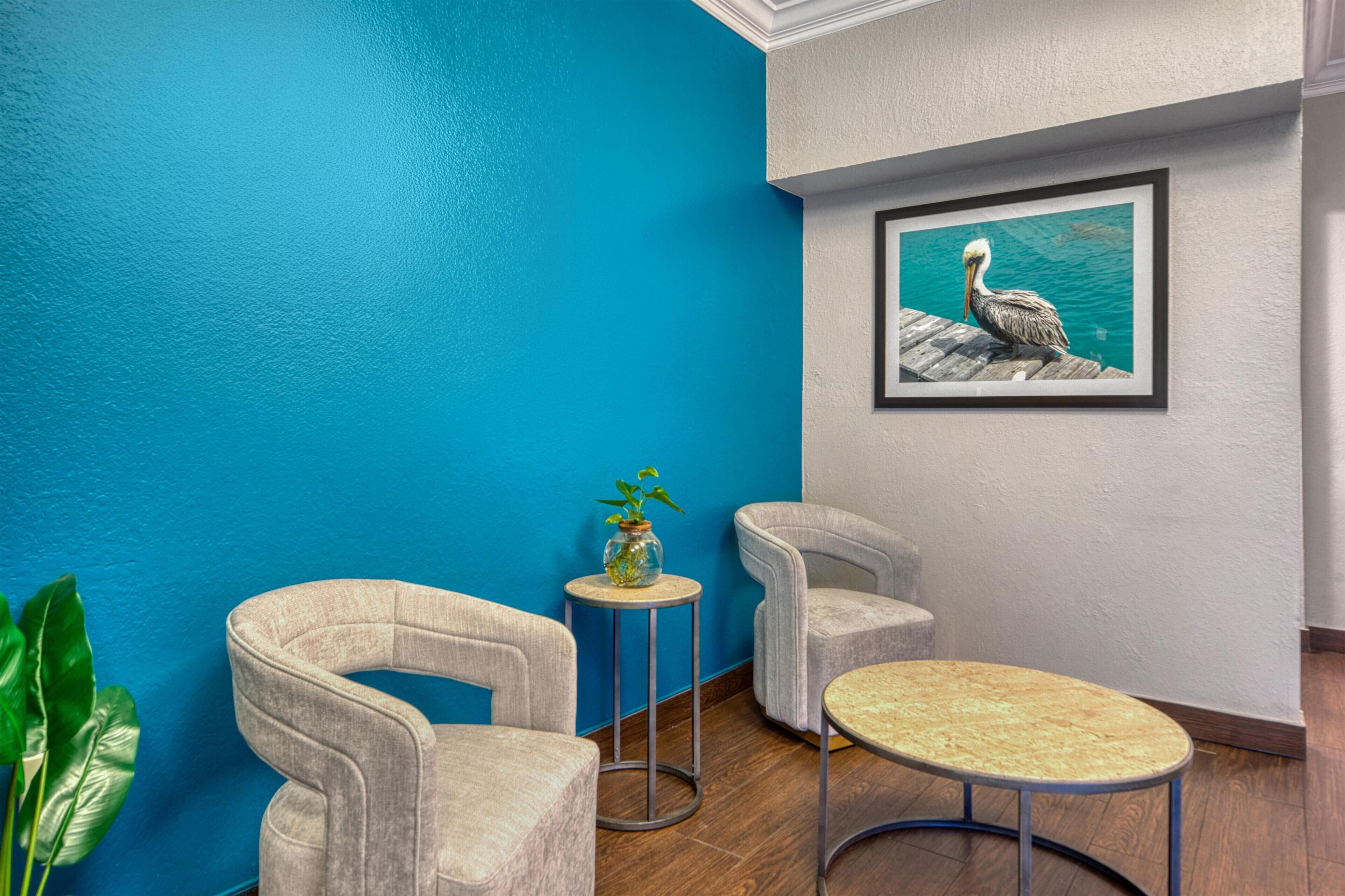 A room with a blue wall, a framed picture of a pelican, two chairs, a small round table, and a potted plant.