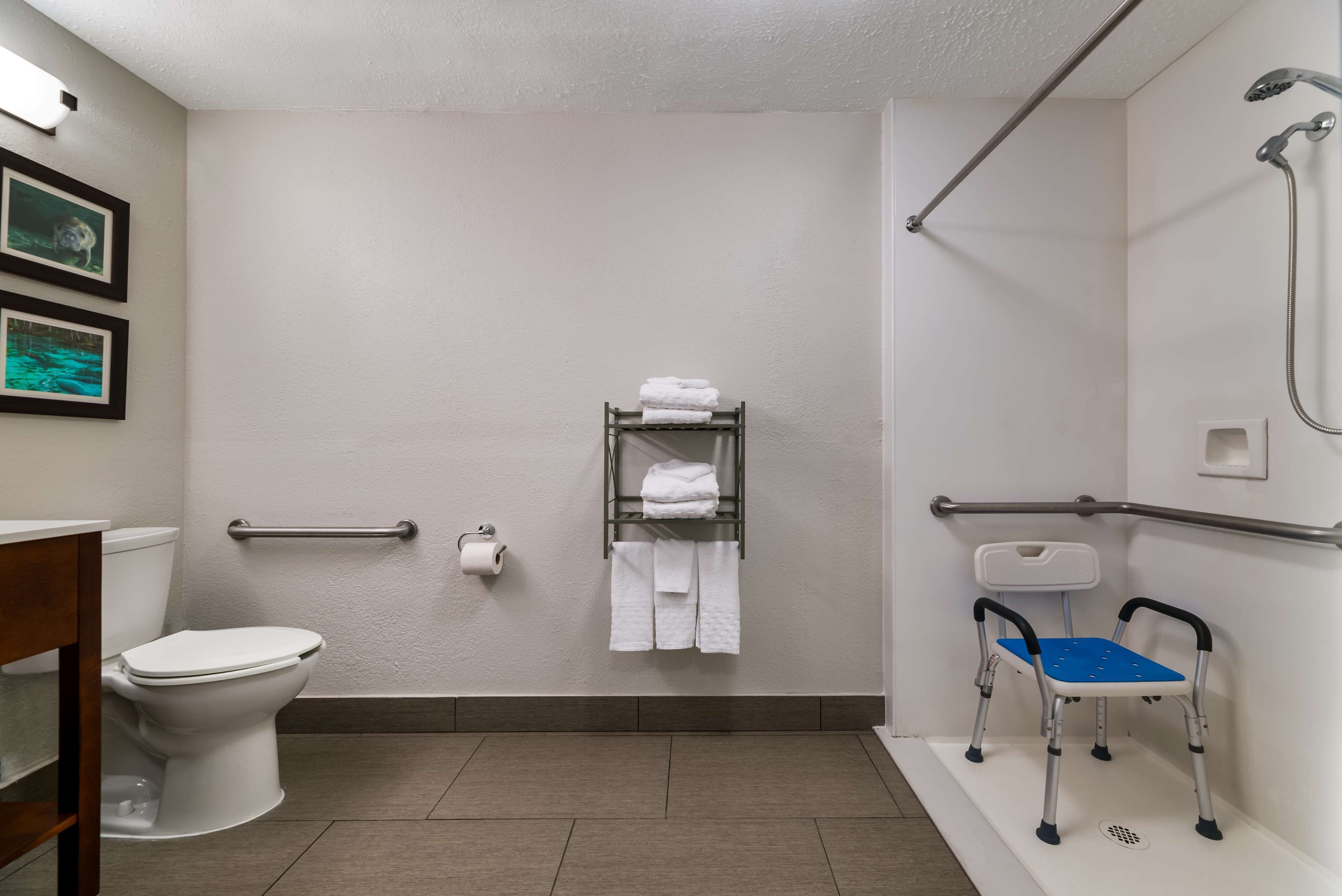 standard room, 1 king bed, accessible, non smoking | bathroom | free toiletries, hair dryer, towels, soap