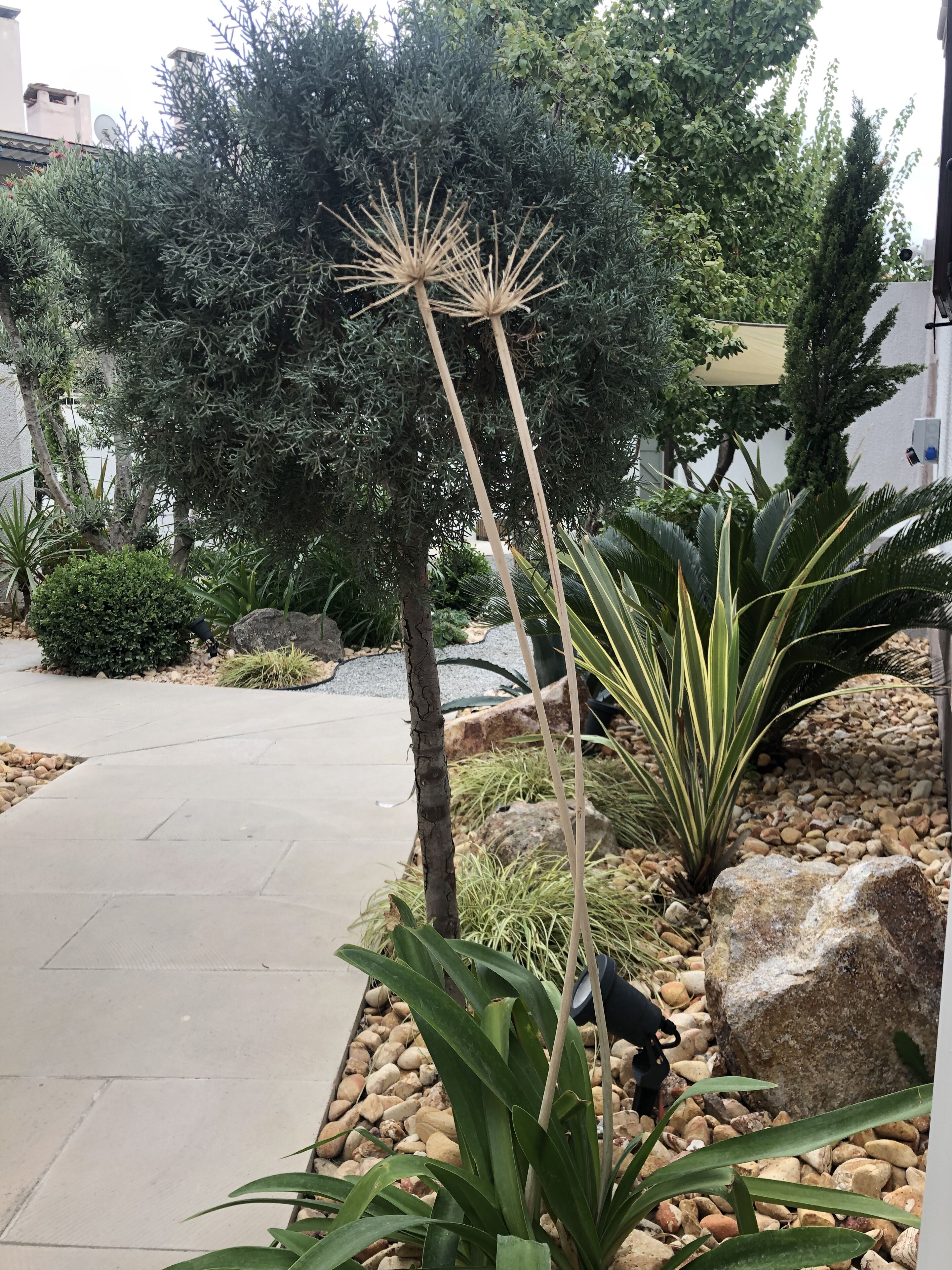 品质客房 | 客房景观