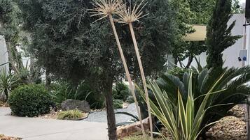 Habitación senior | Vista desde la habitación