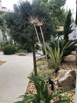 Senior Room | View from room - Min Ayvalık (Adults Only +12) (Ayvalik)