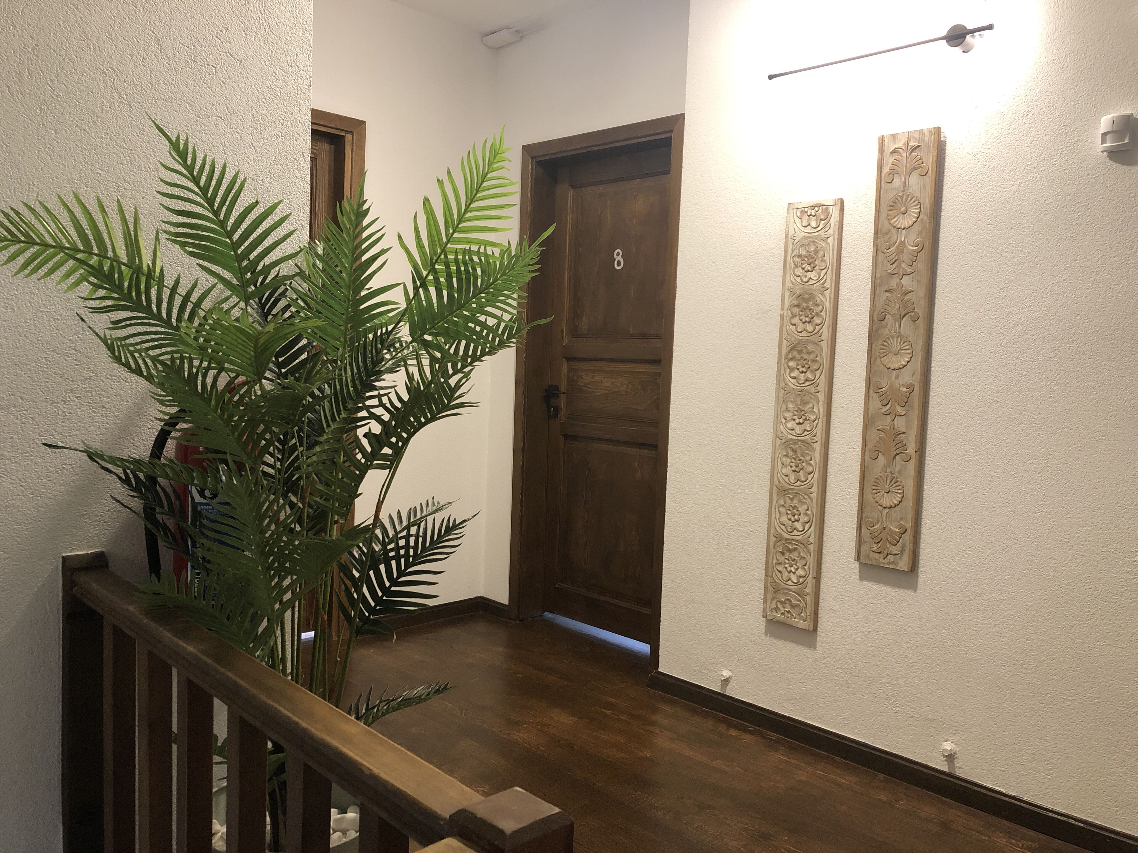 A hallway with a wooden door marked with the number 8, a potted plant, and two wall-mounted decorative panels.