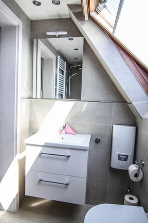 Shower, hair dryer, towels