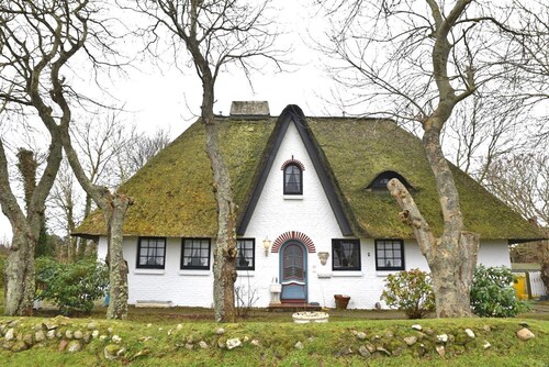 Tina in the Friesenhaus Sieben-Linden - tranquil peace, endless "Fennen" -