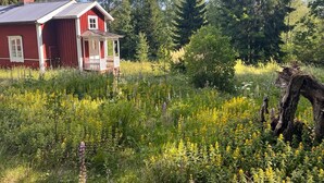 Een rode houten woning met een veranda, omgeven door een dicht bos en wilde bloemen.