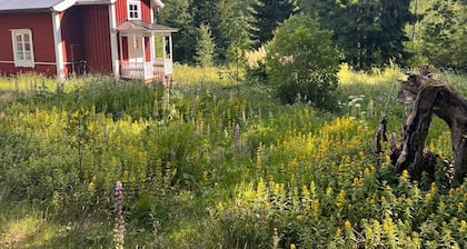 Wunderschönes Feriengrundstück mit Alleinlage im Wald