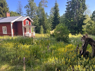 Beautiful vacation property with secluded location in the forest