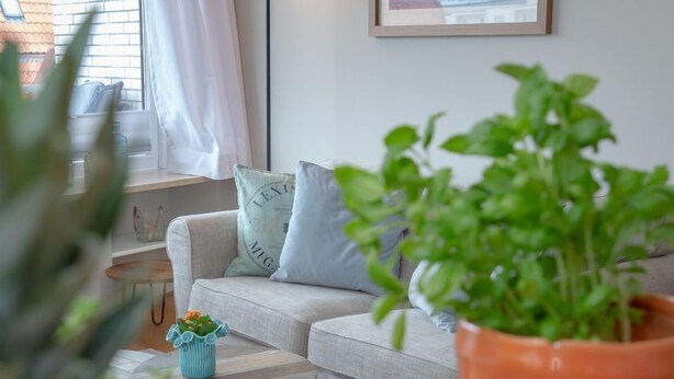 A modern living room with a sofa, a coffee table, a potted plant, and a fruit basket.