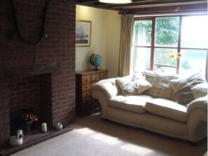 Smart TV, fireplace, DVD player, books