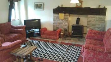 Smart TV, lareira, DVD player, livros