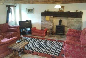 Smart TV, fireplace, DVD player, books