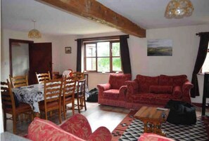 Smart TV, fireplace, DVD player, books