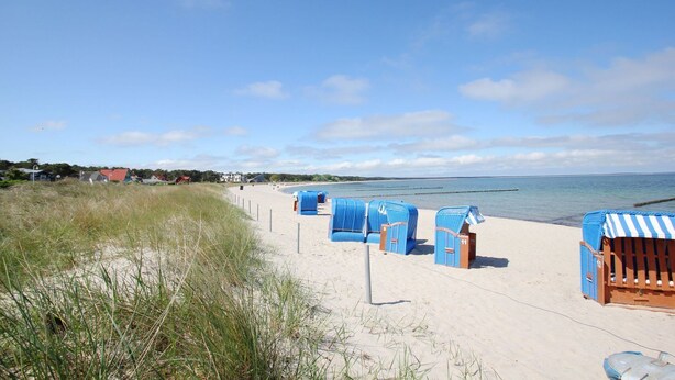 Ein Strand mit blauen Liegen und einem Sandweg.