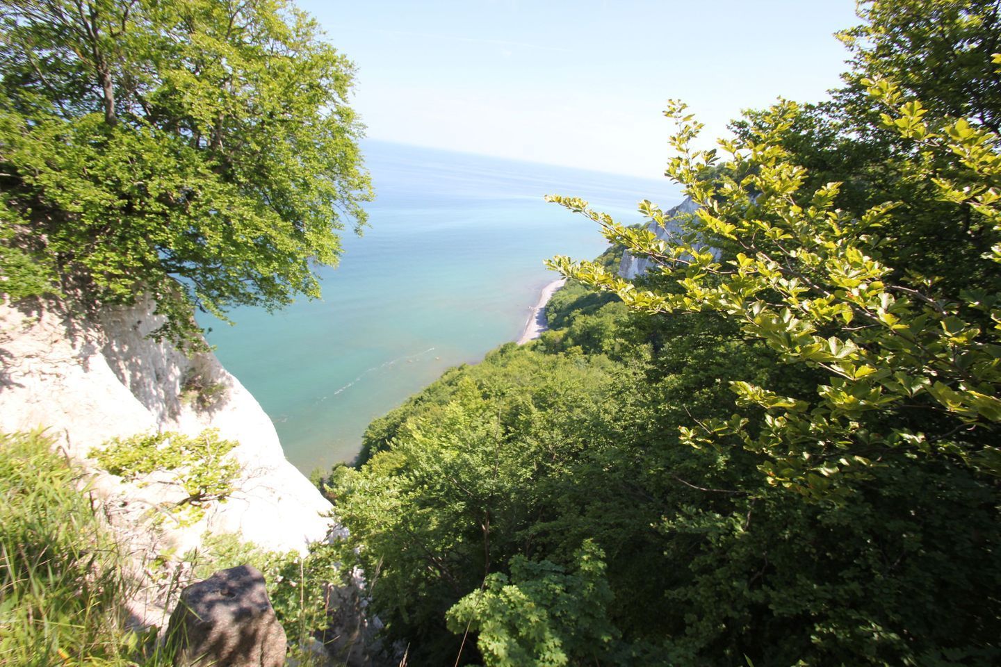 Eine Küstenlandschaft mit Klippen und dichtem Grün.
