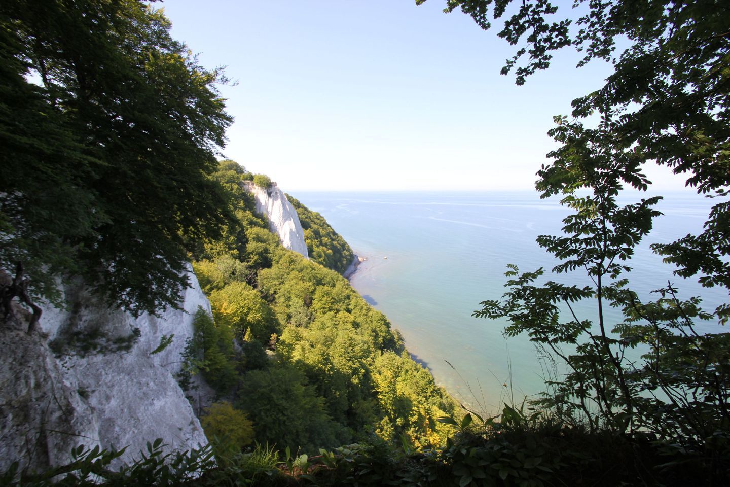 A coastal landscape with cliffs and dense foliage.