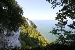 Imagen sin descripción, 4 de 20, botón