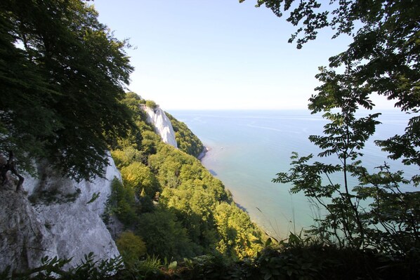 Unclassified image, 1 of 25, button