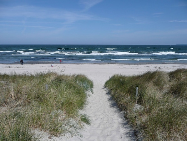 Un sentier de sable qui longe la plage et mène à l’océan, avec des dunes herbeuses de chaque côté.