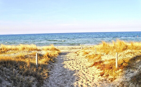 A sandy beach path leading to the ocean with grassy dunes on either side.