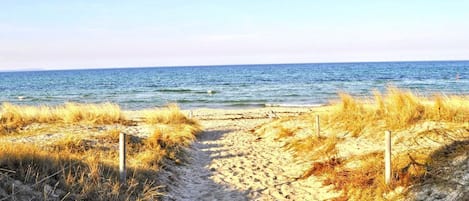 Ranta