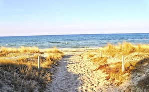 A sandy beach path leading to the ocean with grassy dunes on either side. - Cozy vacation apartment near the harbor - FeWos am Hochzeitsberg FeWo 17 - FeWos (Breege)