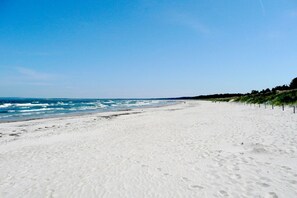 Beach - Cozy vacation apartment near the harbor - FeWos am Hochzeitsberg FeWo 17 - FeWos (Breege)